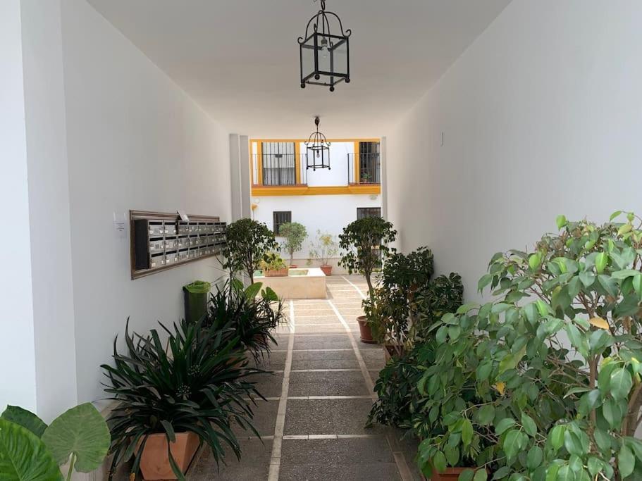 סביליה Pilsev Center Apartment מראה חיצוני תמונה